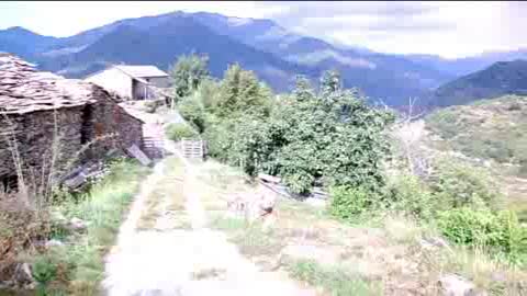 Viaggio in Liguria, le erbe aromatiche della Valle Argentina