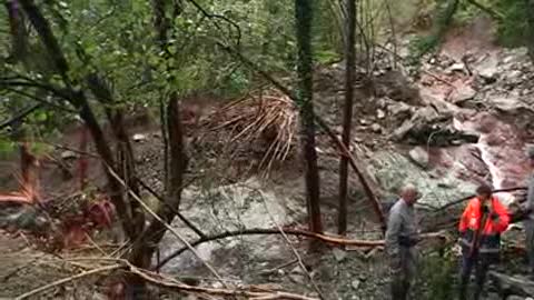 Alluvione, l'abbandono del bosco a Montoggio: parola al geologo Rosasco