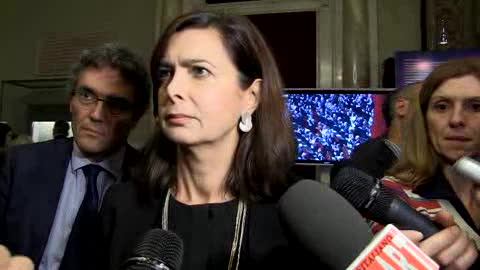 Consulta, Boldrini: 