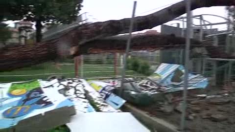 Allerta, caduta albero allo stadio di Chiavari, tragedia sfiorata