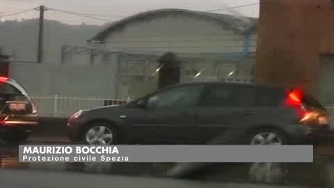 Bocchia: 