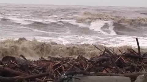 Ok dal ministero per smaltire la legna sulle spiagge