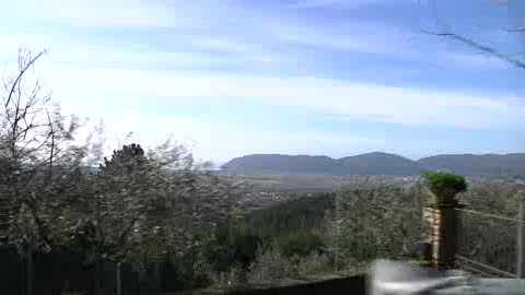 Viaggio in Liguria, il vermentino delle colline spezzine 