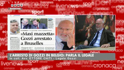 Gozzi, l'avvocato: 