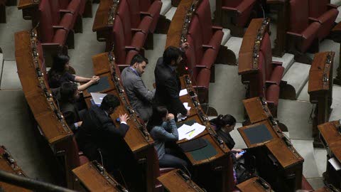 Tofalo (M5s): 