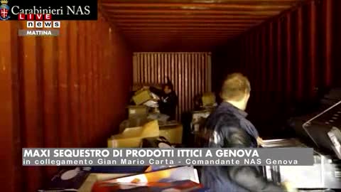 Maxi sequestro di prodotti ittici a Genova, pesce 'taroccato'  ma venduto come fresco