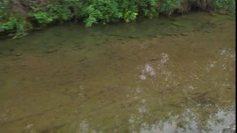 Torrente Graveglia, sono terminati i lavori per la sicurezza del corso d’acqua