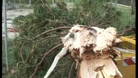 Veneto, le immagini dei danni materiali della tromba d'aria