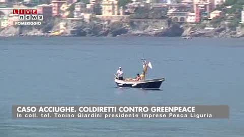 Tra Greenpeace e Coldiretti la 'battaglia' delle acciughe 