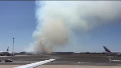 Fiumicino, sterpaglie e pineta in fiamme bloccano alcuni voli