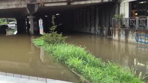 Allerta 1 in Liguria, allagamenti alla Spezia