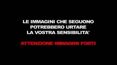 Giornalisti uccisi in diretta tv in Virginia, nell'ultimo frame il volto del killer