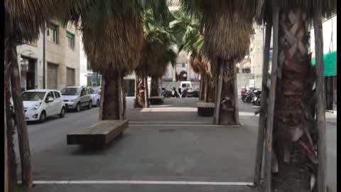 Savona, commercianti preoccupati dalle palme: 