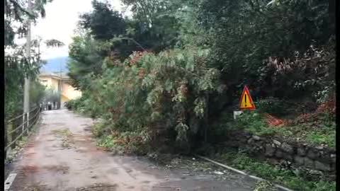 Maltempo, i danni del vento e dell'acqua a Fontanegli 