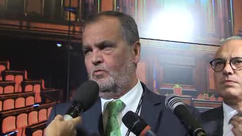 Riforma del Senato, la Lega presenta 82 milioni di emendamenti: 
