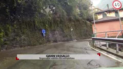 Vassallo: 