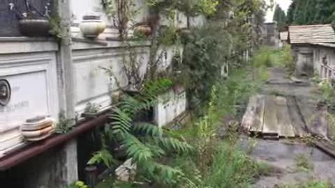 Genova, cimiteri tra degrado e transenne: viaggio alla Castagna