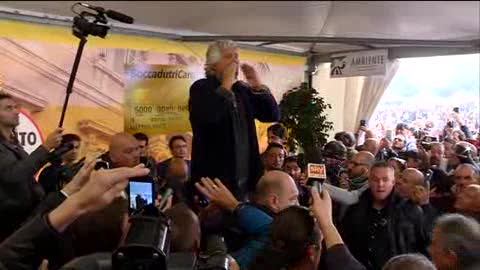 Grillo: 