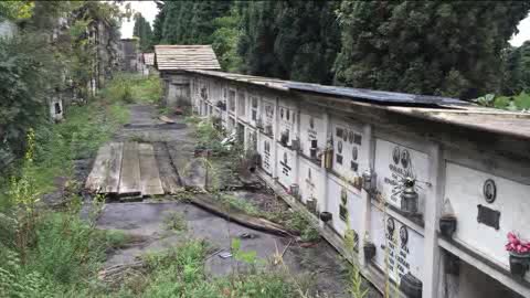 A-i 12 de novembre pòrte averte à chen e atre bestie inti çimitëi zeneixi