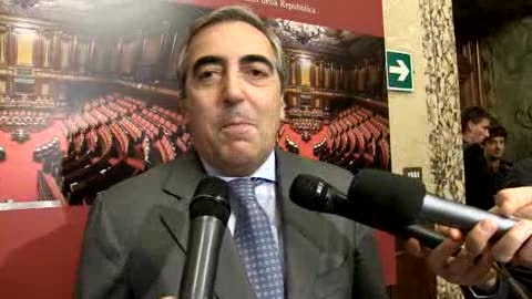 Caso De Luca, Gasparri: 