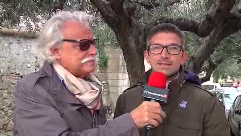 Raccolta delle olive, annata eccezionale per l'olio extravergine