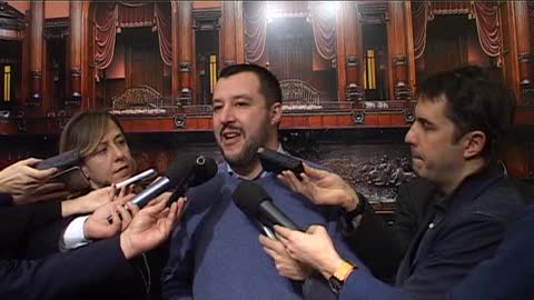 Consulta, Salvini: 