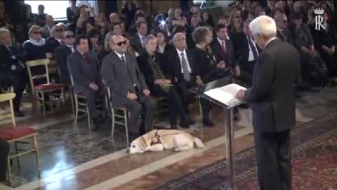 Mattarella: 