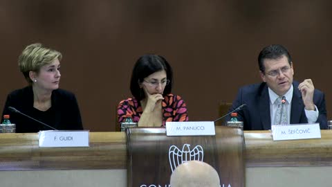 Sefckovic (vice pres. Commissione europea): 