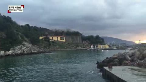 Cinghiali buongustai a caccia di cozze, salvati nel golfo di Spezia dai muscolai