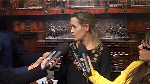 Consulta, Bergamini: 