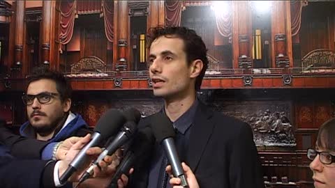 Consulta, Crippa (M5s): 