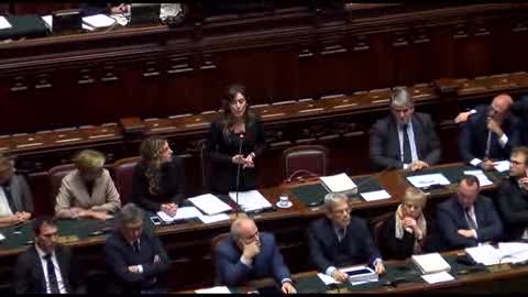 Boschi: 