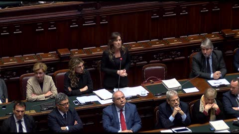 Boschi: 