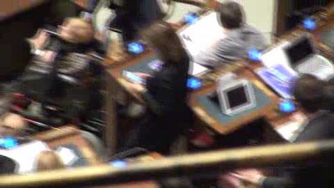 Blocco dei microfoni alla Camera, seduta sospesa. Rosato (PD): 
