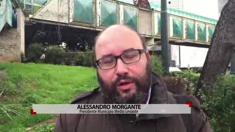 Polemiche sul Bruco di Corte Lambruschini, Morgante: 