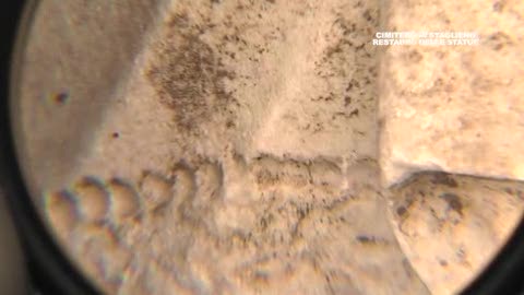 Ecco il laboratorio di restauro lapideo al cimitero di Staglieno (2)