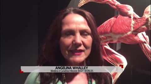 La curatrice di 'Body Worlds': 