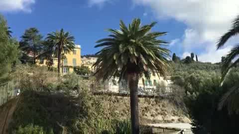 Viaggio in Liguria all'Agrario di Sant'Ilario dove i ragazzi trovano subito lavoro