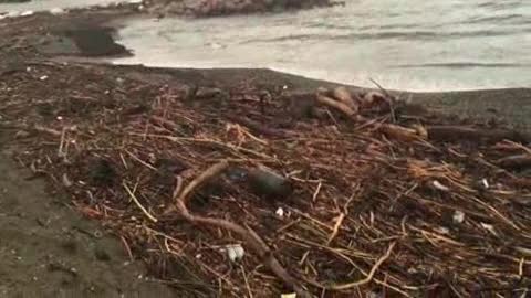 Dopo la mareggiata la spiaggia di Marinella invasa dai detriti