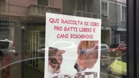 Un'anziana teneva in casa 30 gatti, interviene l'Enpa Savona