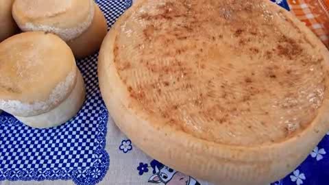 Viaggio in Liguria, la cartolina di Patrizia Traverso: latte e formaggio