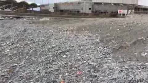 Sporcizia e degrado nella spiaggia della Foce a Genova