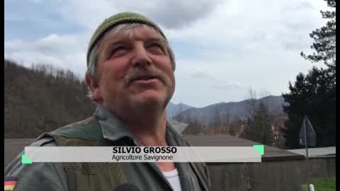 Viaggio in Liguria: la primavera degli innesti, la saggezza dell'agricoltore