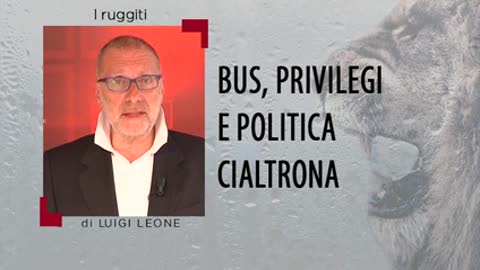 I ruggiti di Leone a Macaia - Bus, privilegi e politica cialtrona