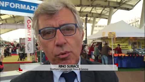 Fiera Primavera, Surace: 