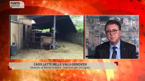 Caso latte, Graniero (Cisl): 