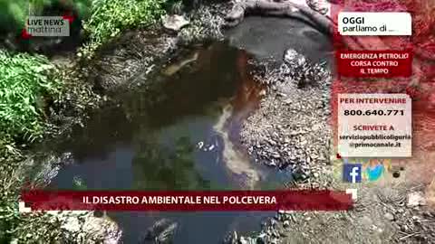 Petrolio nel Polcevera, un telespettatore: 