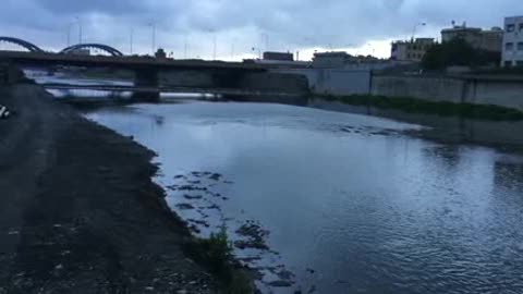 Allerta gialla, sul torrente Polcevera situazione tranquilla