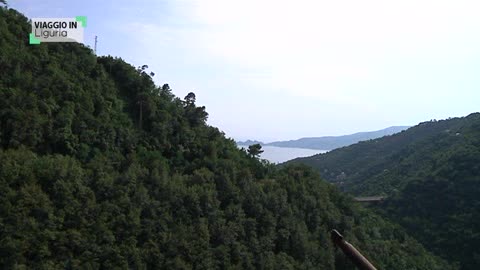 Viaggio in Liguria: Zoagli tra mare e frazioni (5)