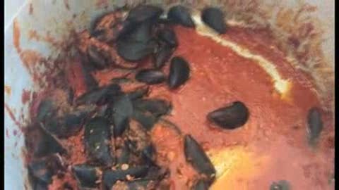 Muscoli ripieni o alla marinara? Le ricette tipiche spezzine